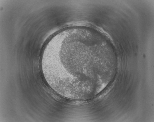 X0000064741166200603131311