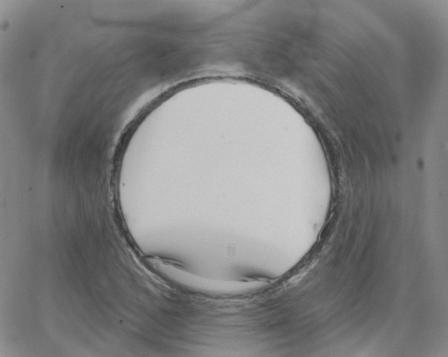 X0000064741168200603131311