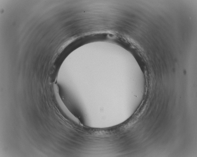 X0000064741169200603131311