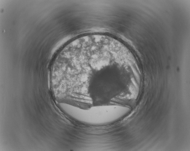 X0000064741171200603131311