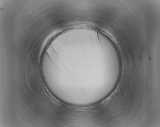 X0000064741172200603131311