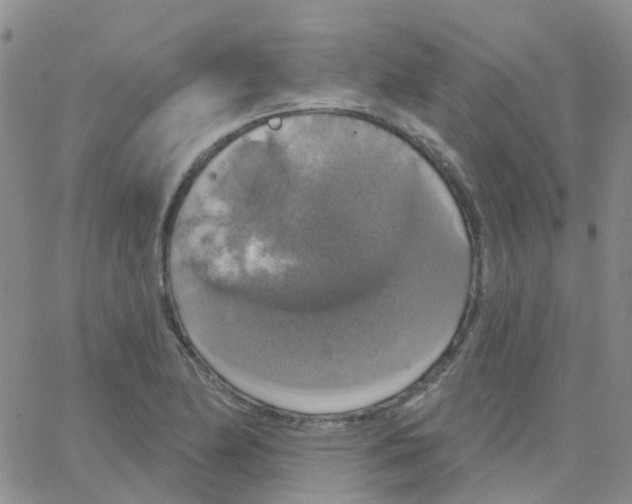 X0000064741174200603131311