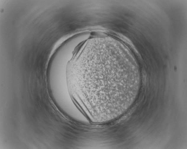 X0000064741176200603131311