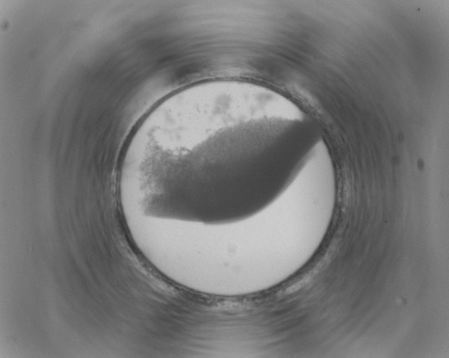 X0000064741178200603131311