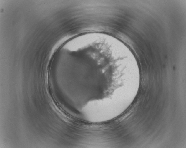 X0000064741179200603131311