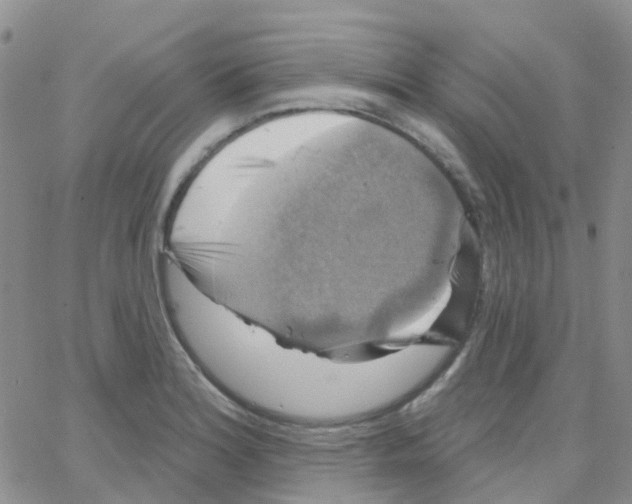 X0000064741180200603131311