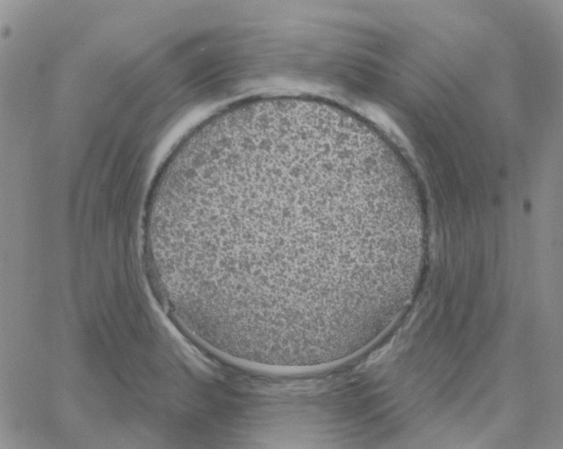 X0000064741183200603131311