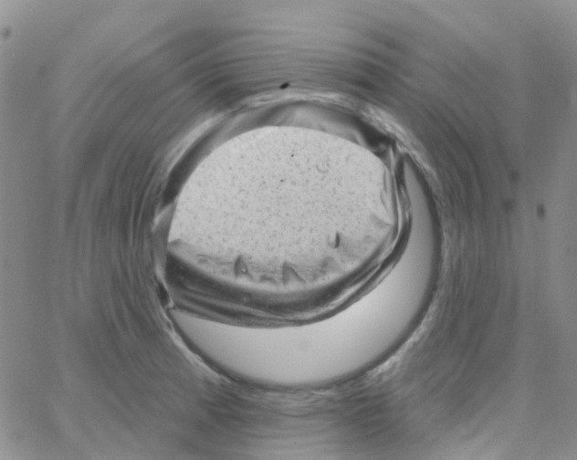 X0000064741185200603131311