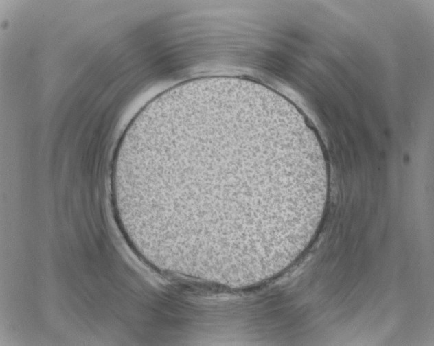 X0000064741187200603131311