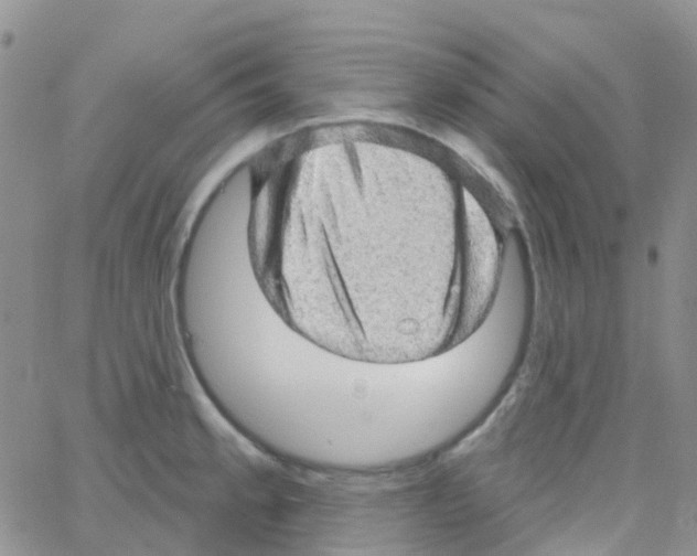 X0000064741189200603131310