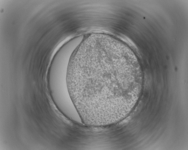 X0000064741190200603131310