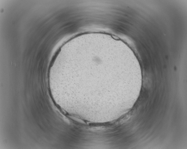 X0000064741191200603131310