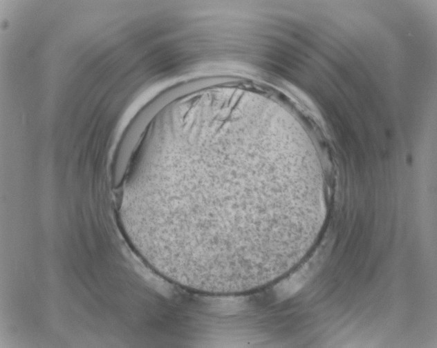 X0000064741192200603131310