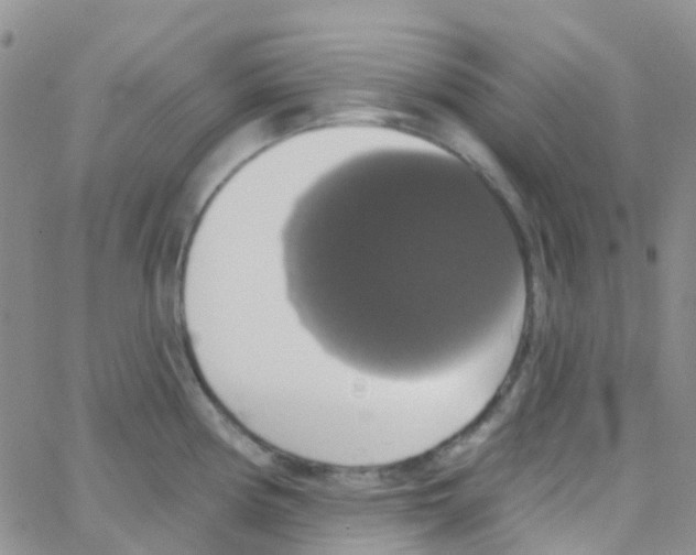 X0000064741194200603131310