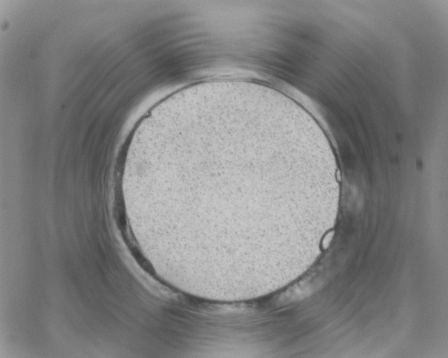 X0000064741195200603131310