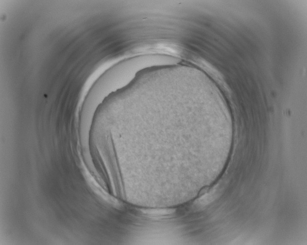 X0000064741200200603131310