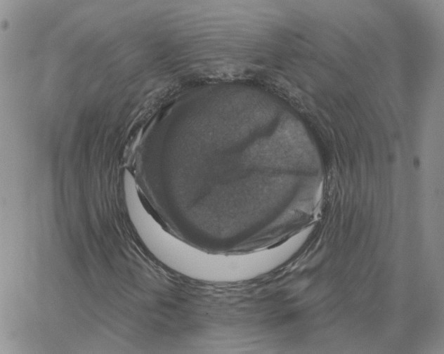 X0000064741202200603131310