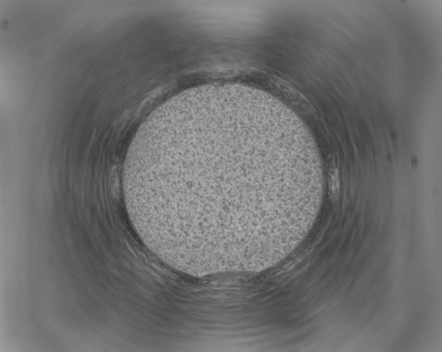 X0000064741204200603131310