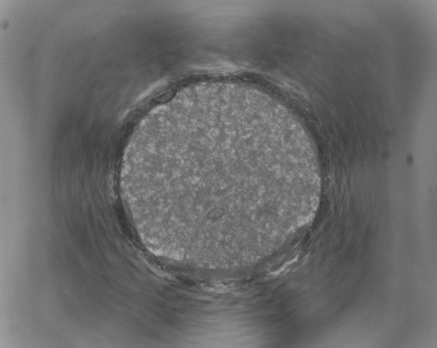 X0000064741205200603131310