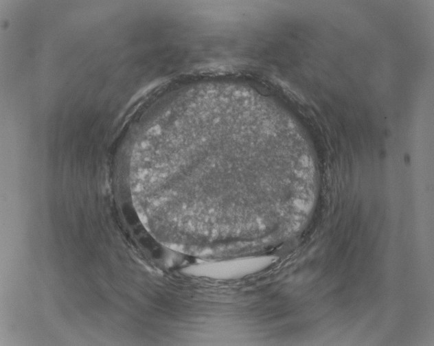 X0000064741206200603131310