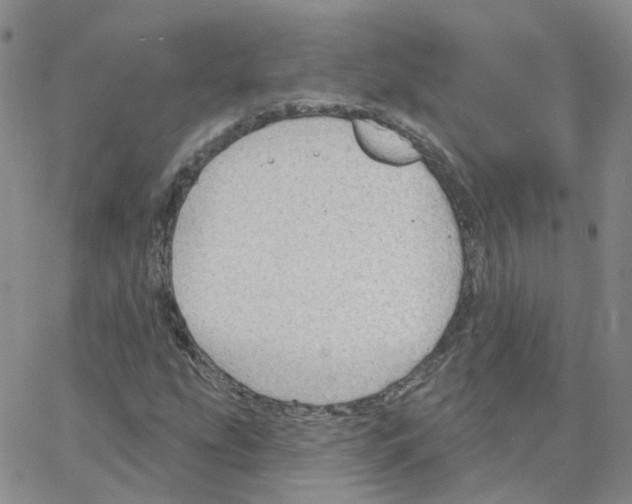 X0000064741207200603131310