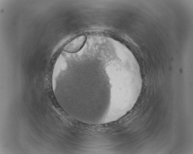 X0000064741208200603131310