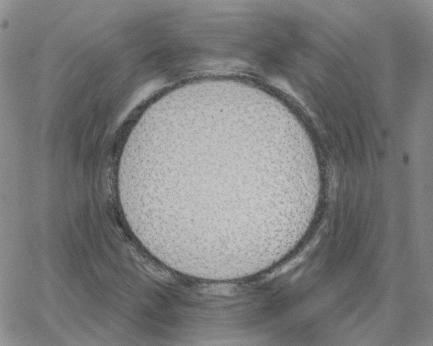 X0000064741211200603131310