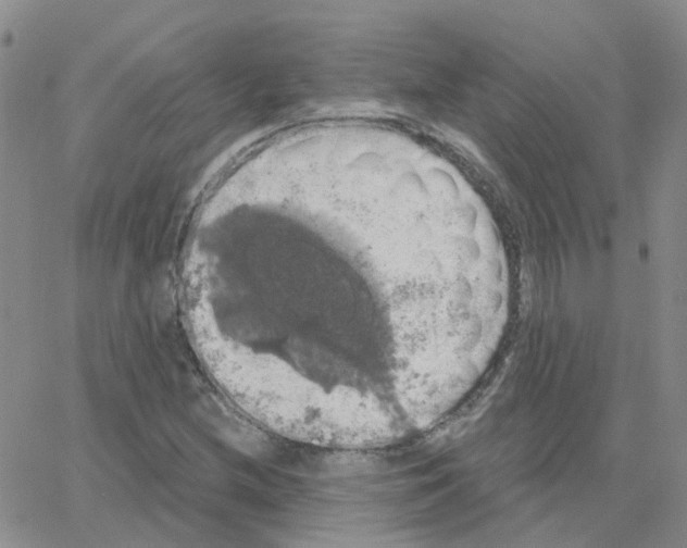 X0000064741212200603131310