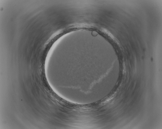 X0000064741213200603131310