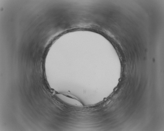 X0000064741214200603131310