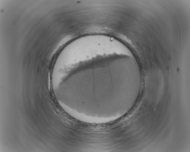 X0000064741219200603131310