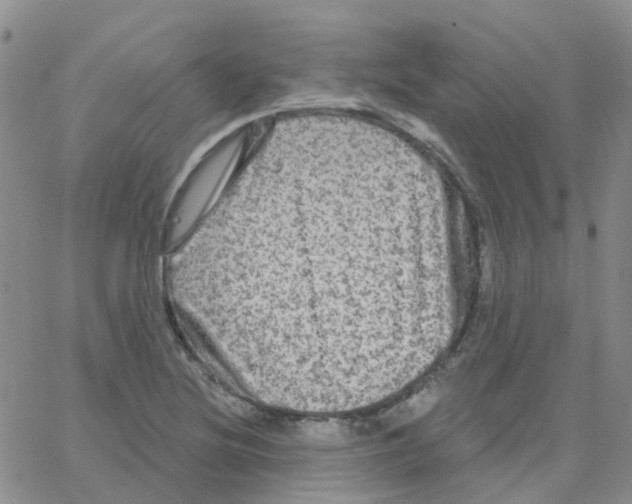 X0000064741220200603131310