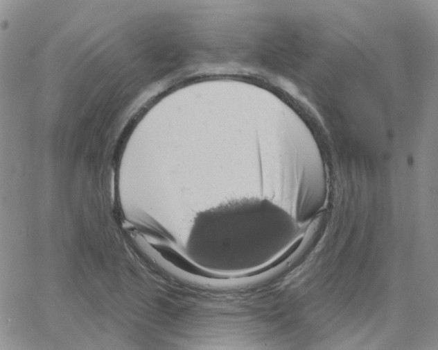 X0000064741221200603131310