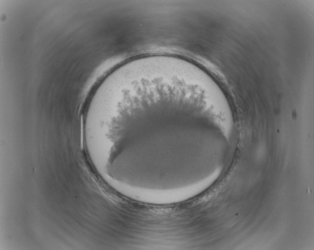 X0000064741223200603131310