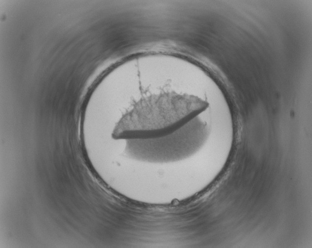 X0000064741224200603131310