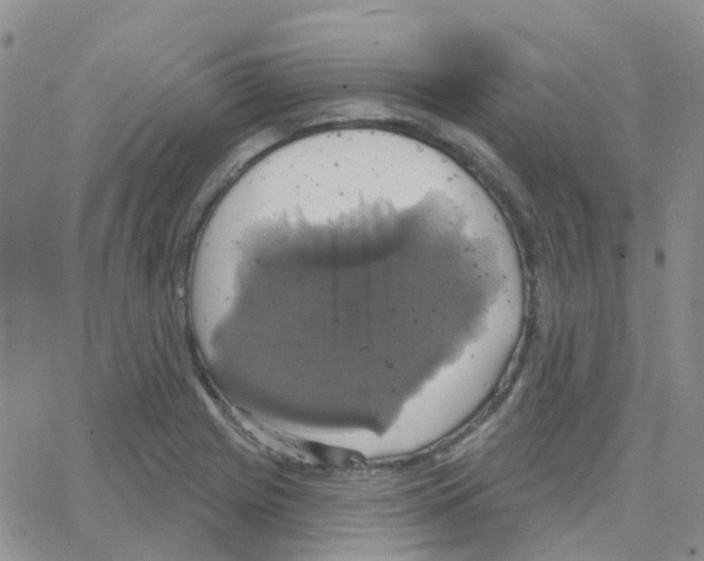 X0000064741225200603131310