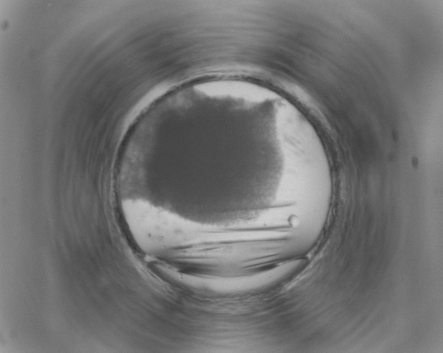 X0000064741229200603131310