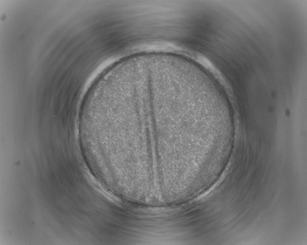 X0000064741232200603131310