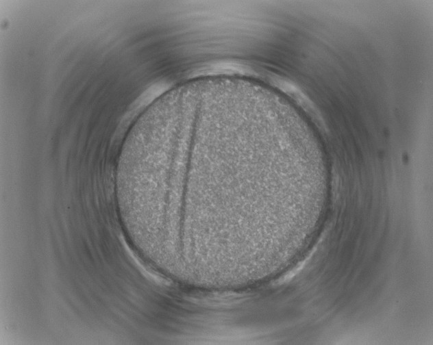 X0000064741233200603131310