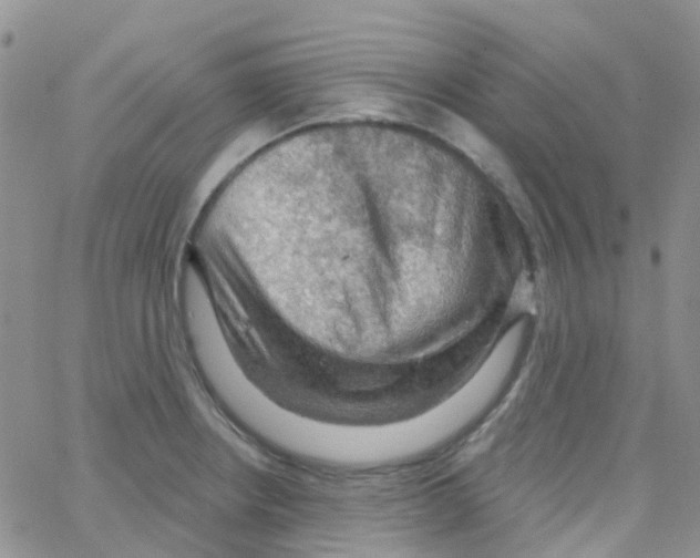 X0000064741234200603131310