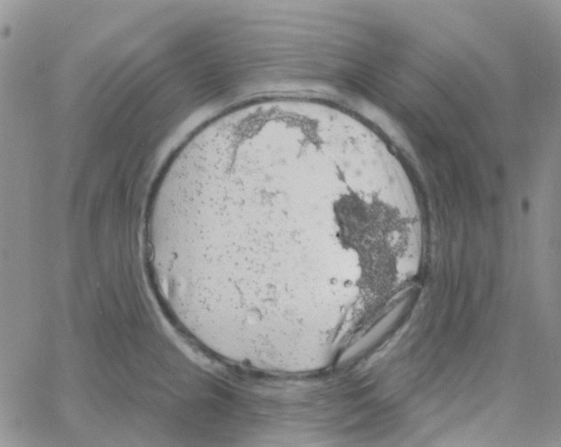 X0000064741237200603131310