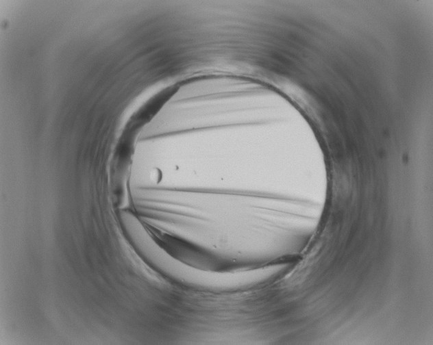 X0000064741238200603131310