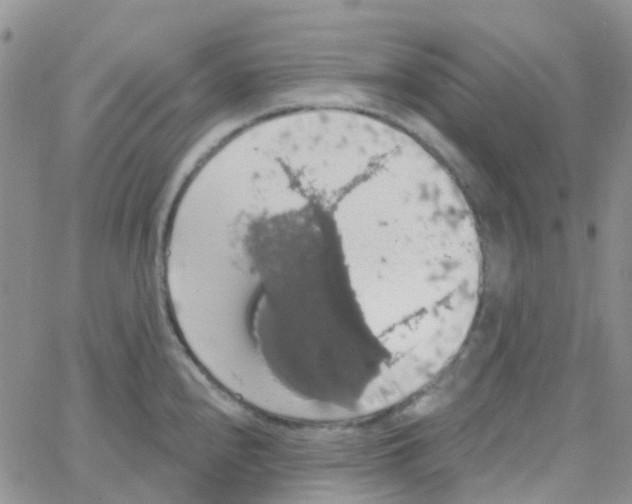 X0000064741240200603131310