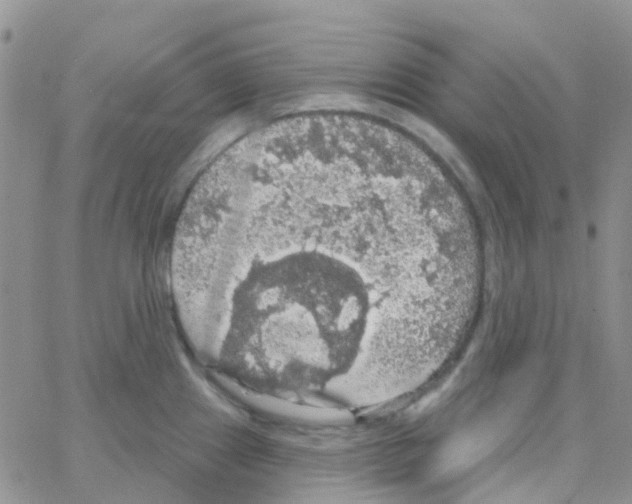 X0000064741241200603131310