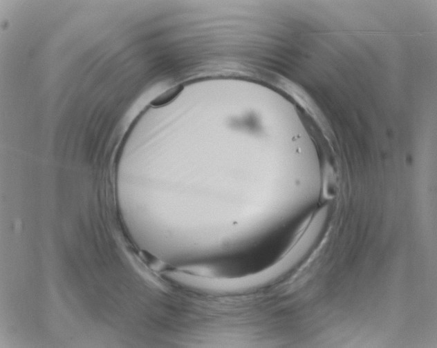 X0000064741242200603131310