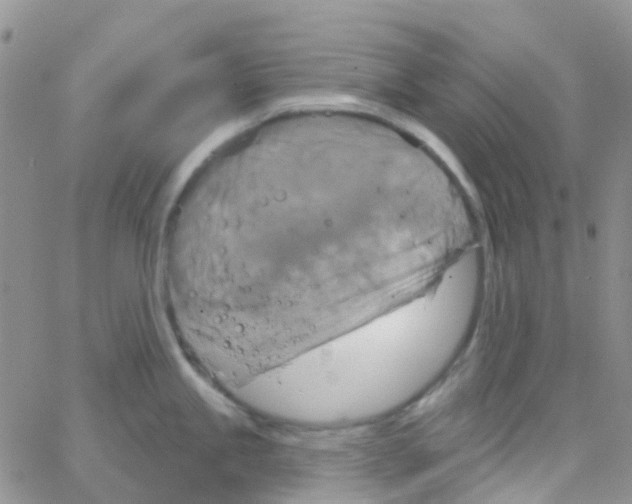 X0000064741245200603131310