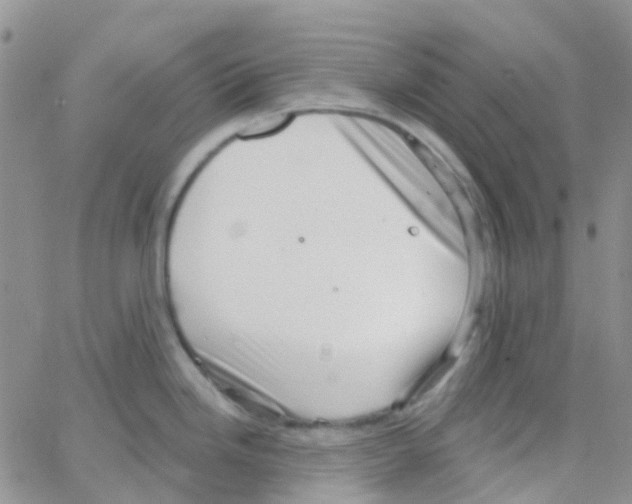 X0000064741246200603131310