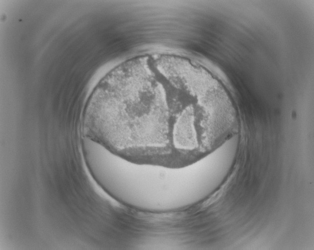 X0000064741247200603131310