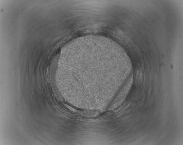 X0000064741250200603131309