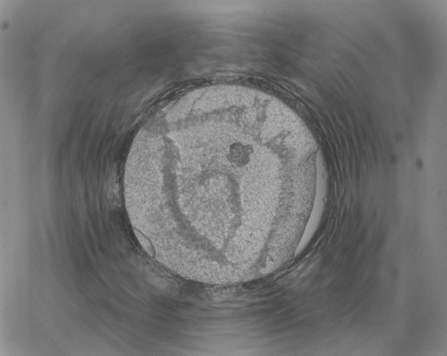 X0000064741252200603131309